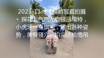 2023-11-8【模特写真拍摄丶探花】气质尤物极品模特，小虎牙一身旗袍，摆出各种姿势，美臀骚穴，拍完还给撸吊口交