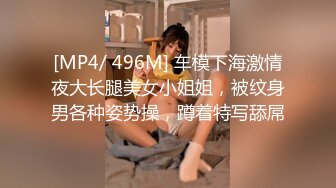 [MP4/ 496M] 车模下海激情夜大长腿美女小姐姐，被纹身男各种姿势操，蹲着特写舔屌