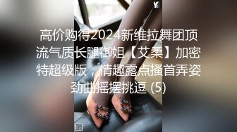 高价购得2024新维拉舞团顶流气质长腿御姐【艾柔】加密特超级版，情趣露点搔首弄姿劲曲摇摆挑逗 (5)