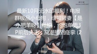 最新10月无水印福利！电报群极品小母狗，绿帽骚妻【是小肥羊呀】私拍，约炮单男3P前后夹击，高潮插到痉挛 (2)