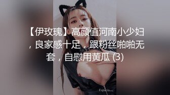 【伊玫瑰】高颜值河南小少妇，良家感十足，跟粉丝啪啪无套，自慰用黄瓜 (3)