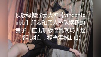 顶级绿帽淫妻大神【vincentxxbb】朋友和黑人排队操我的妻子，直击顶级淫乱现场！超淫乱对白，相当震撼1 (1)