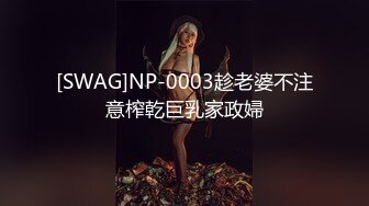 [SWAG]NP-0003趁老婆不注意榨乾巨乳家政婦