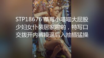 STP18676 草莓小喵喵大屁股少妇女仆装居家啪啪，特写口交拨开内裤摸逼后入抽插猛操