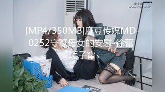 [MP4/350MB]麻豆传媒MD-0252守寡母女的安慰-徐蕾 项子甯