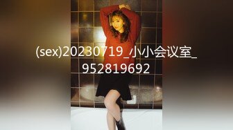 (sex)20230719_小小会议室_952819692