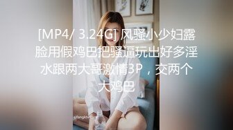 [MP4/ 3.24G] 风骚小少妇露脸用假鸡巴把骚逼玩出好多淫水跟两大哥激情3P，交两个大鸡巴