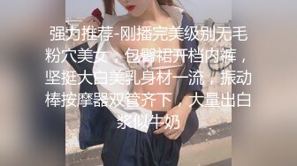 强力推荐-刚播完美级别无毛粉穴美女，包臀裙开档内裤，坚挺大白美乳身材一流，振动棒按摩器双管齐下，大量出白浆似牛奶