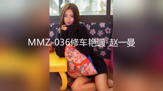 MMZ-036修车艳遇-赵一曼