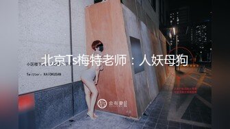 北京Ts梅特老师：人妖母狗