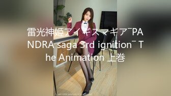 雷光神姫アイギスマギア―PANDRA saga 3rd ignition― The Animation 上巻