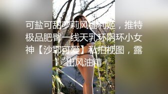 可盐可甜萝莉风福利姬，推特极品肥臀一线天乳环阴环小女神【沙耶可爱】私拍视图，露出风油精